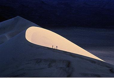 《物质世界：终极版》3＆28推出Switch版